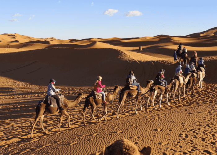 The Best Planning Your Dream Trip to Morocco: What You Need to Know 2024