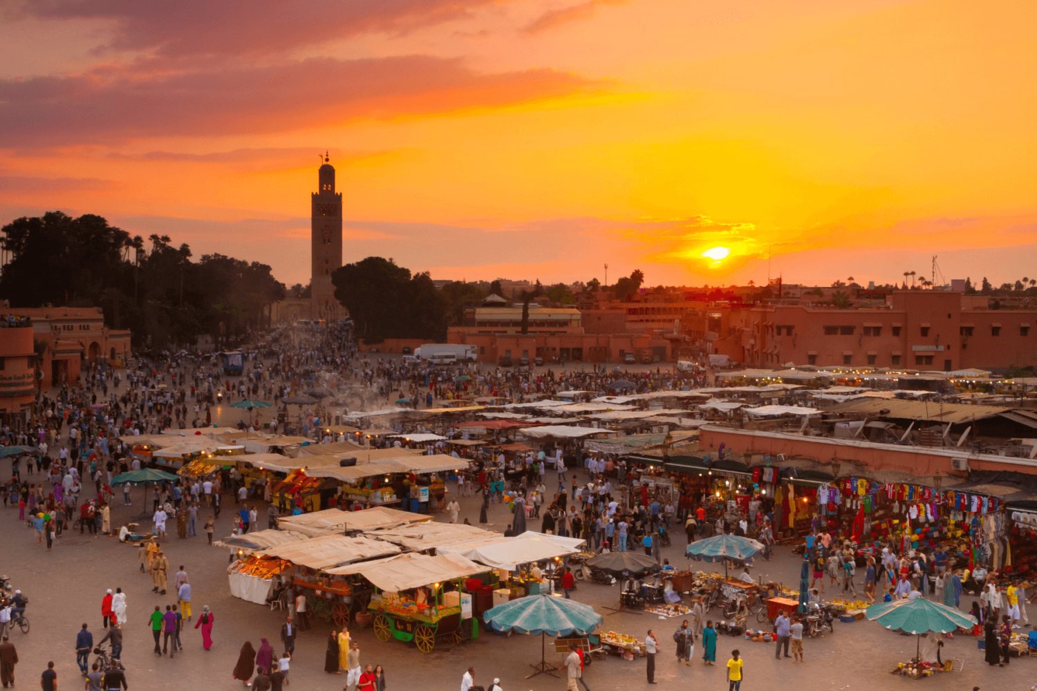 Morocco: 14 Days of Magic!