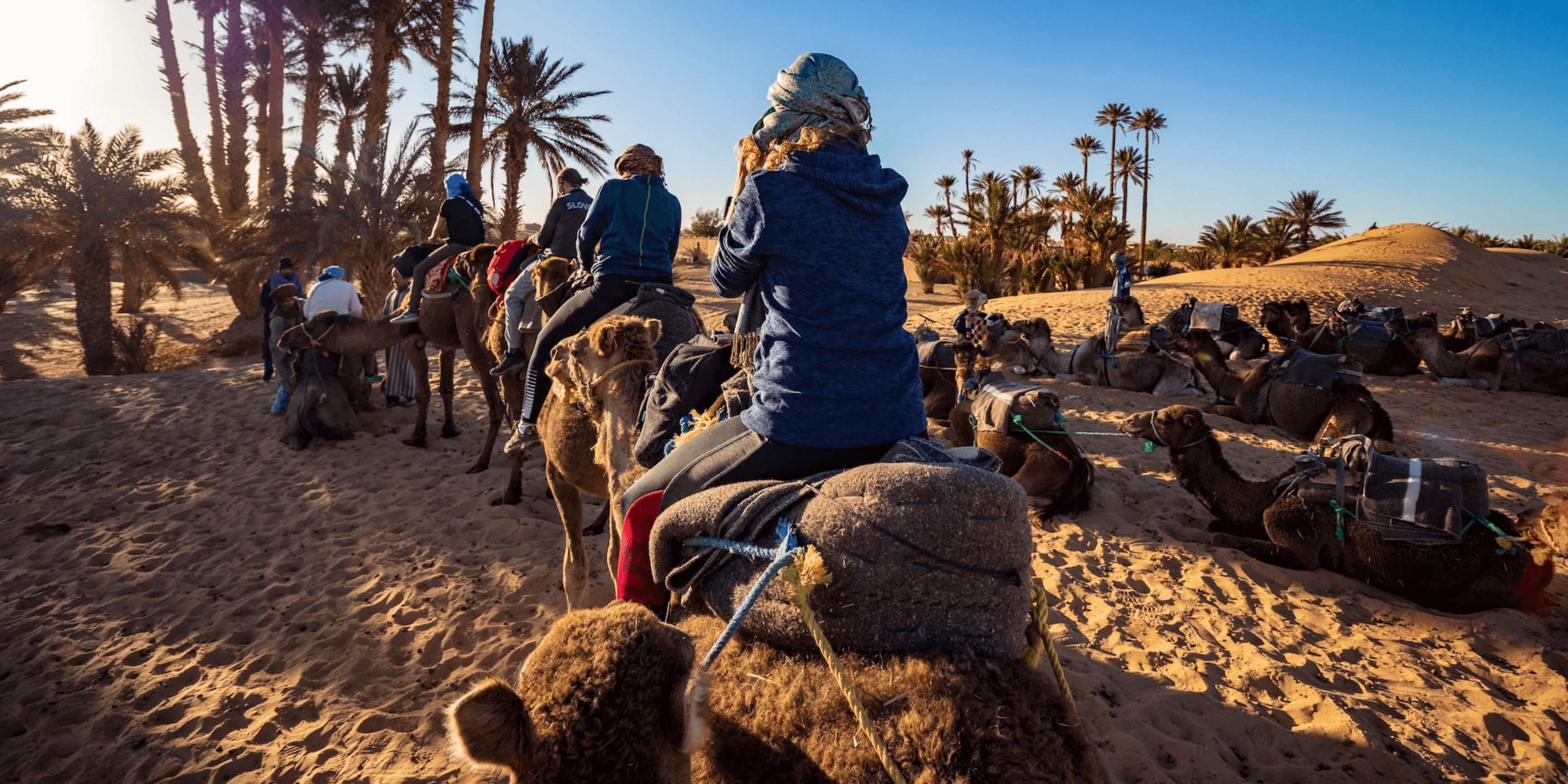 Moroccan Adventures: Top Travel Tips