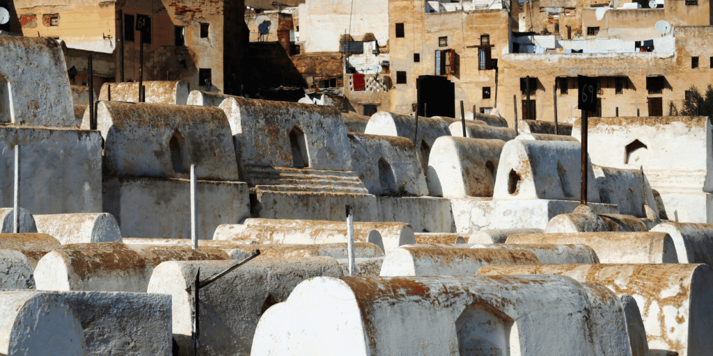10 Best Things To Do In Fes