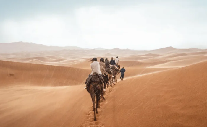 Camel caravan crossing Sahara Desert dunes on the 11 Day Morocco Tour from Spain