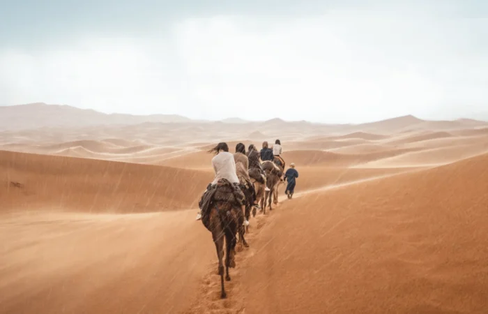 Camel caravan crossing Sahara Desert dunes on the 11 Day Morocco Tour from Spain