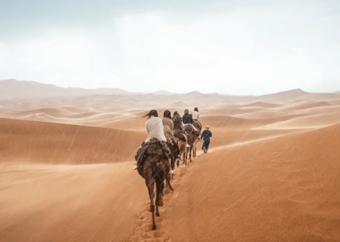 Camel caravan crossing Sahara Desert dunes on the 11 Day Morocco Tour from Spain