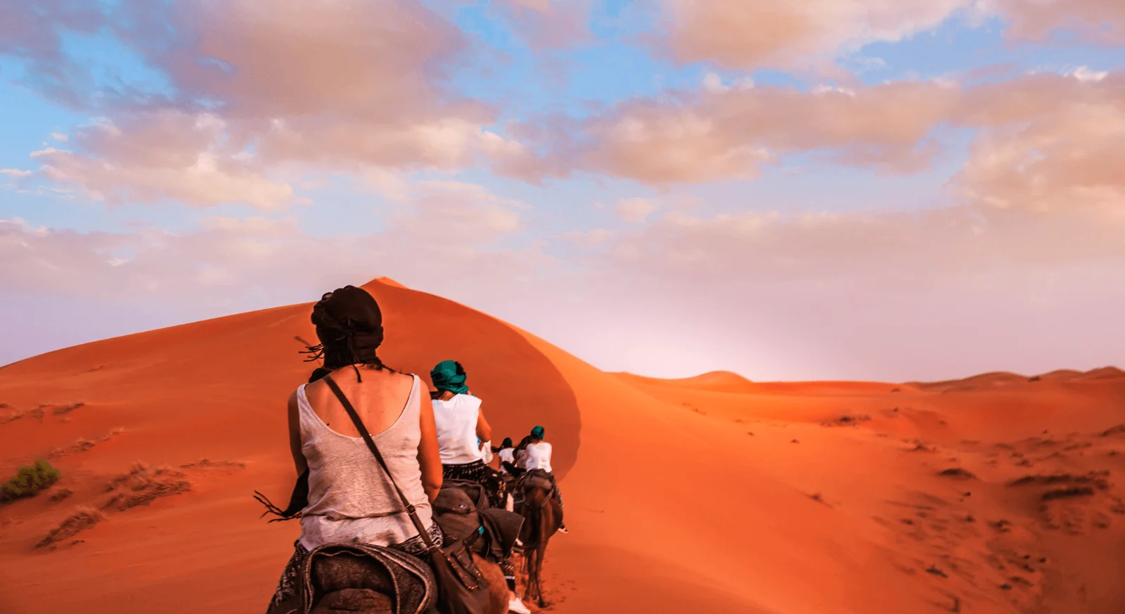 Travelers riding camels on a private Morocco tour in the Sahara Desert