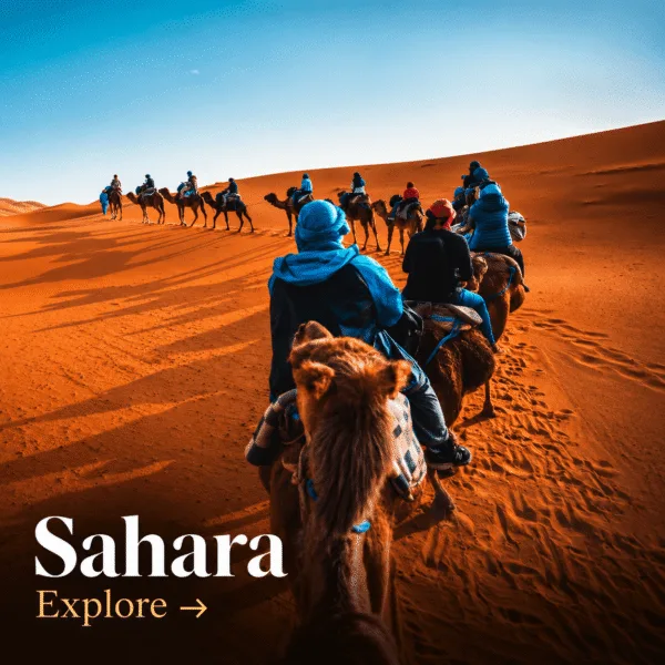Morocco Sahara Desert Experience | Altni Tours Sahara Desert camel trek in Morocco